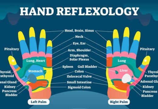 hand reflexology map